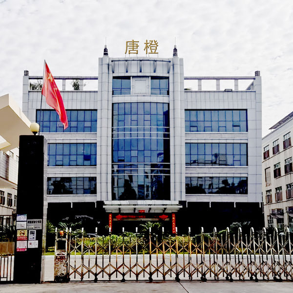 China Guangzhou Tangcheng Technology Co., Ltd. Perfil de la compañía